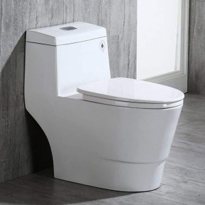 WoodBridge T-0001 One Piece Toilet