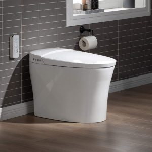 WOODBRIDGE B0970S Multi-Function Automatic One Piece Toilet