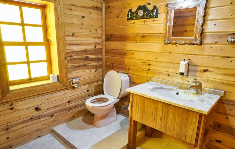One Piece Vs Two Piece Toilet